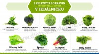 /album/fotogalerie/iviny-1-jpg/