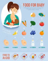 /album/fotogalerie/a66959527-food-for-baby-infographic-concept-banner-about-baby-food-vector-illustration-jpg/